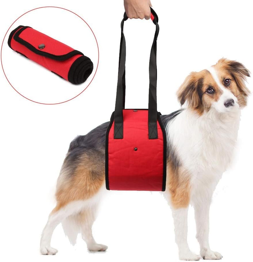 Dog Harness No Pull Harness Dog Lead Padded Pet Walking Harness Heavy Duty for Dogs (L, Red)