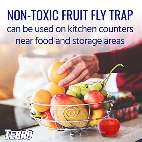 TERRO FRUIT FLY TRAPS FOR INDOORS (4 PACK) + 180 DAYS OF LURE SUPPLY