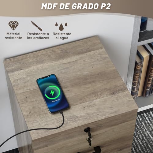 Archivador con 2 Cajones, Archivero con 5 Ruedas para Archivos A4 Tamaño Carta, Archivero Organizador Debajo del Escritorio para Oficina en Casa, Archiveros con Cerradura con Soporte para Impresora
