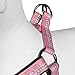 Blueberry Pet Soft & Comfy 3M Reflective Step-in Pastel Color Padded Dog Harness, Chest Girth 23.5