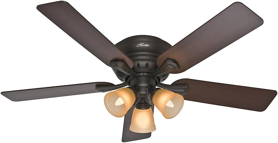 Hunter Fan Company Hunter 53012 Transitional 52``Ceiling Fan from Reinert Collection Dark Finish, inch, Premier Bronze