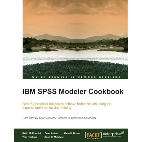 Data Mining and Statistics for Decision Making (Wiley Series