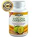 Extracto de Garcinia Cambogia - 90 Pastillas Con 60% HCA (1 Mes) - 100% Puro, Sin Calcio, Sin Potasio! / 90 Capsules with 60% HCA (1 Month) - 100% Pure, No Calcium, No Potassium!