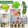 6-PCS-Natural-Loofah-Exfoliating-Luffa-Natural-Loofah-Sponge-Body-Scrubber-for-Bathing-and-Back-Caring-Spa-4-inch-Length-Organic-Loofah-Loofahs-Sponges-for-Shower-Scrubbing-and-Kitchen-Cleaning 6 Pcs Natural Loofah, Exfoliating Luffa Natural Loofah Sponge Body Scrubber For Bathing And Back Caring Spa, 4 Inch…