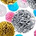 Blue 'N Blum Tissue Paper Pom Poms Decorations - Paper Flower - Party Decoration - Banner Happy Birthday for Party - Baby Shower - (12 pcs 12