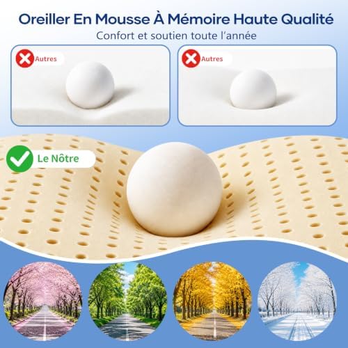 Oreiller Cervical Ergonomique à Mémoire de Forme, Oreiller Orthopédique