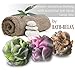 Luxury Bath Pouf Soft Mesh Double Layer Set of 3 Pack Shower Puff Exfoliating / Cleansing Loofah Luffa Body pouf Mesh For Men / Women