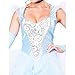 California Costumes Women's Classic Cinderella Costume Small