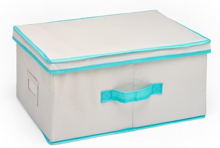MyCraft Craft Organizer, 11โ x 16โ x 7.5โ, Small, Birch/Maui Blue (58315010.06)