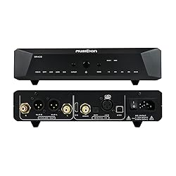 Musician Draco R2R DAC HiFi Entry-Level Decoder