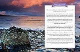 Image de The Year with Angels: A Guide to Living Lovingly Through the Seasons