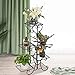 Adava 4 Tier Plant Stand Metal Flower Shelves Multiple Plants Outdoor Indoor Display Rack Holder for Home Office Garden Patio Corner Blackthumb 1