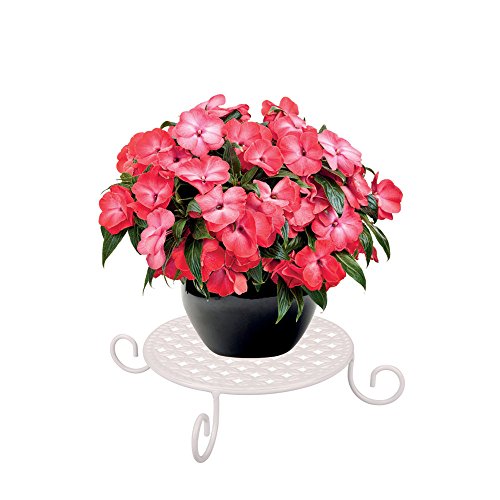 AISHN Metal Plant Stand for Indoor Outdoor Iron Art Flower Pot Holder Rack, Short Potted Supports Garden Pots Containers Corner Stands - Thumbnail 4