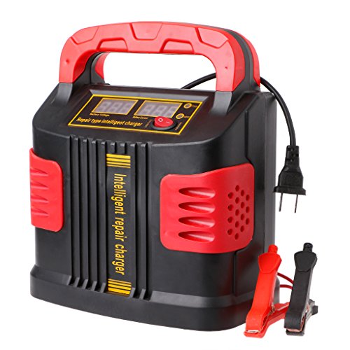 Goodqueen 350W 14A AUTO Plus Adjust LCD Battery Charger 12V-24V Car Jump Starter Portable