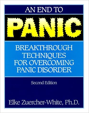 an end to panic book title
