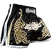 Hayabusa Male Hayabusa Muay Thai Shorts