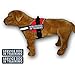 Doggie Stylz Service Dog Vest with Hook and Loop Straps and Handle – Comes in Sizes XXS to XXL – Three Colors – Dog Harness Features 2 Reflective SERVICE DOG IN TRAINING Patches (Girth 24”-31