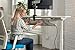 StandDesk Desk Cable Management Tray, Cord Organizer, and Cable Concealer with 12 Adjustable Straps for Home or Office, White