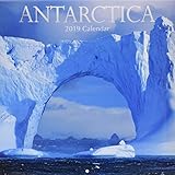 2019 Wall Calendar - Antarctica Calendar, 12 x 12 Inch Monthly View, 16-Month, Travel and Destinatio by 