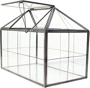 Caja de joyería de terrario de vidrio transparente caja de ...