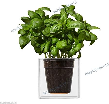 Transparent Self-watering Pot Deck Planter Flowerpot-Home Garden Fish Tanks Set