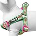 Blueberry Pet 5 Colors Soft & Comfy Step-in Paisley Flower Print Dog Harness, Chest Girth 15.5