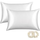 ALASKA BEAR Silk Pillowcases 2 Pack 22 Momme Mulberry Silk Pillow Cases, Queen Size(Set of Two, Cool White)