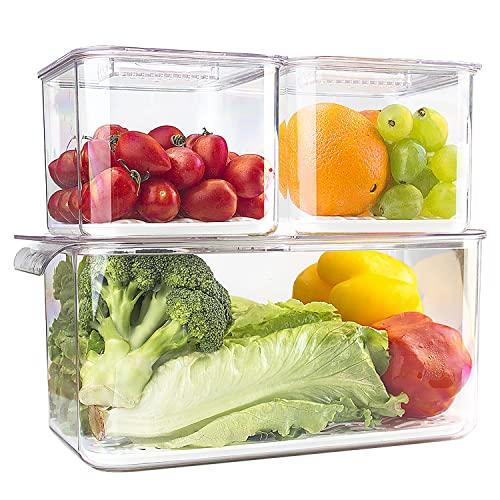 elabo Food Storage Containers Fridge Produce Saver 3 Piece Set