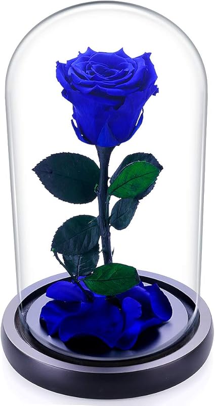 Rose Blu Fiori A Bergamo Consegna A Domicilio