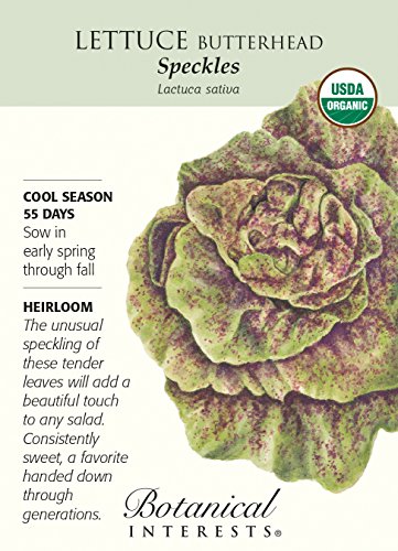 Lettuce Butterhead Speckles Certified Organic Seed