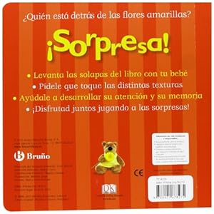 ¡Sorpresa! Los colores / Rainbow Colours Peekaboo! (Spanish Edition)