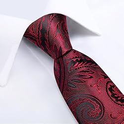 DiBanGu Silk Paisley Ties for Men Woven Necktie and