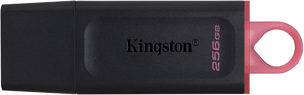 Kingston DataTraveler Exodia 256GB USB 3.2 Gen 1 Flash Drive with Cap