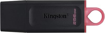 Kingston DataTraveler Exodia 256GB USB 3.2 Gen 1 Flash Drive with Cap