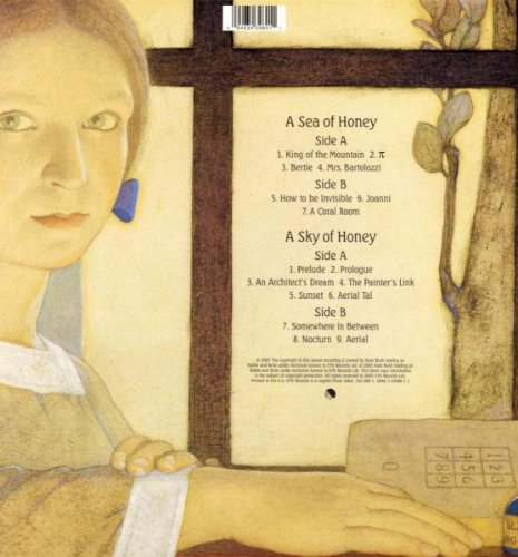 Aerial Vinyl Lp Amazon De Musik