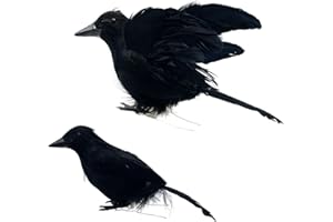 LWINGFLYER 2pcs Black Crows Halloween Decorations Feathered Crows Handmade Halloween Prop Bird Realistic Looking Ravens (Fly & Stand Crows)