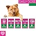 Piper and Olive Glucosamine Chondroitin, Hip and Joint, MSM, Organic Turmeric Soft Chews Supplement for Dogs, Supports Healthy Joint Function, 120-Count