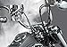 Kruzer Kaddy Kruzer Kustom Kaddy Chrome Skull Motorcycle Cup Holder HANDLE BAR Mount