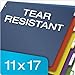 Cardinal 84250 Tabloid-Size Poly Index Divider, 5-Tab, Multicolor Colors