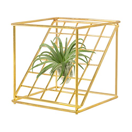 Dahey Air Plant Holder Metal Tillandsia Rack Gemometric Planter Air Ferns Display Container for Tabletop Ornament Air Plant Stand Indoor 4″