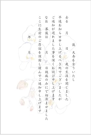 Amazon 私製10枚 死亡通知 挨拶状 はがき 2 裏面印刷済み 胡蝶蘭 ポストカード 絵柄付はがき 文房具 オフィス用品