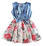 Theplus Girls Princess Dress Sleeveless Denim Tops Floral Tutu Skirts