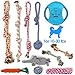 Ranphykx Dog Puppy Toys 11 Pack, Dog Rope Toys Puppy Chew Toys for Playtime Puppy Teething Toys, Dog Flying Disc, Washable Cotton Rope
