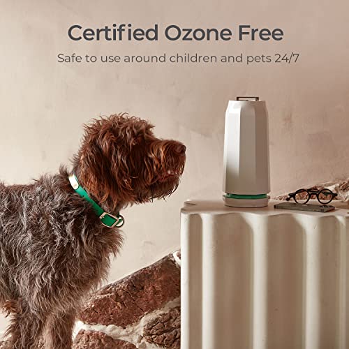 Puraclenz P3000 Surface & Air Purifier OzoneFree Patented Technology