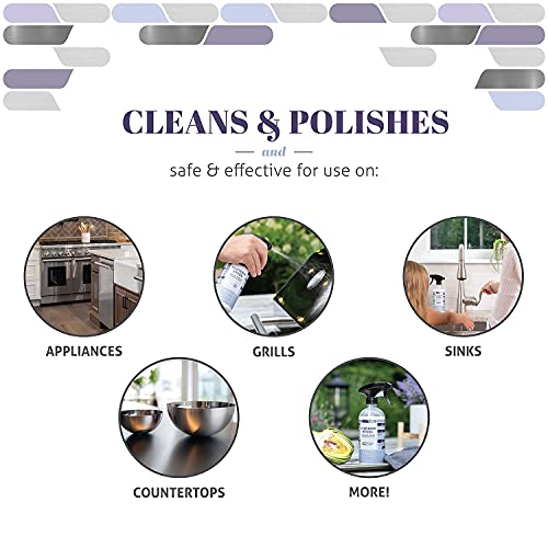 Therapy Stainless Steel Cleaner Kit PlantBased, SolventFree