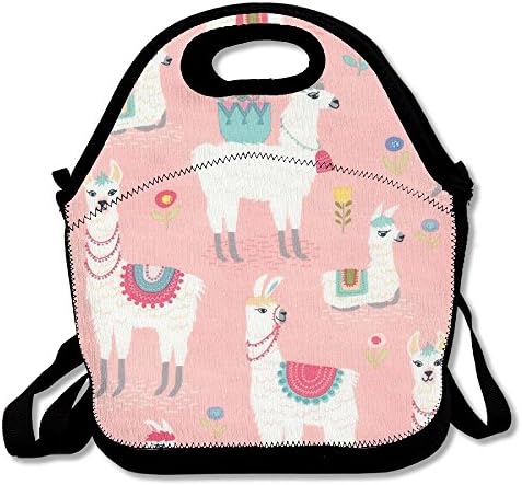 Insulated Lunch Box Tote Bag Cute Llama And Flowers Picnic Bag Lunch Bag For Men Women Kids School, Travel & Diet Management