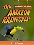 The Amazon Rainforest: Animal Facts & Photos