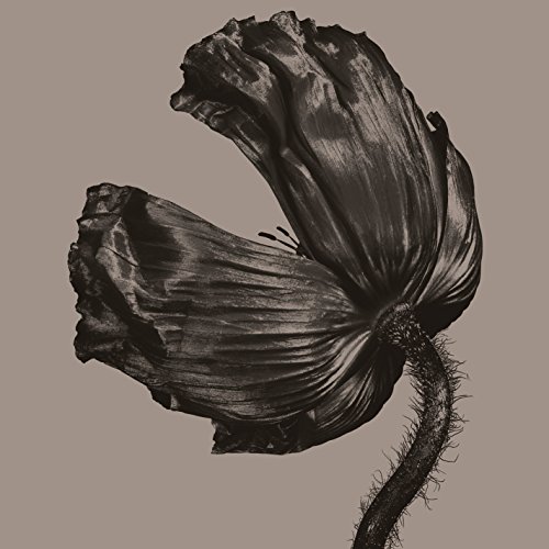 Album Art for Release (2017 Remastered Version) by Pet Shop Boys