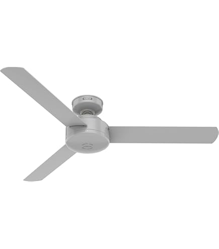 Hunter Fan Company 59262 シーリングファン Hunter 52 inch Outdoor