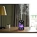 COOSA Empire State Building Designed 100ml Ultrasonic Essential Oil Diffuser Aromatheraphy Cool Mist Humidifier with Colorful LED Light for Home Office Living Room Yoga (Black 1)